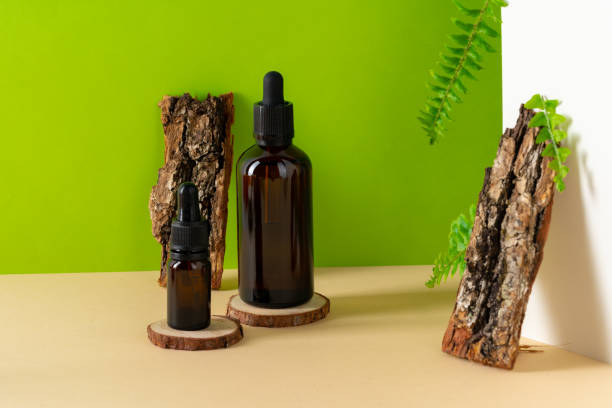 The Evolution of User Interface Design: From Skeuomorphism to Neumorphism